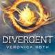 Illustration for article titled Um, Im confused (A.K.A. Thoughts on Divergent) (Light Spoilers)